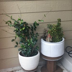 Meet your Posher, Jan